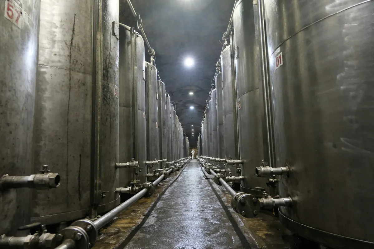 Stainless steel process vessels arranged along an industrial hall